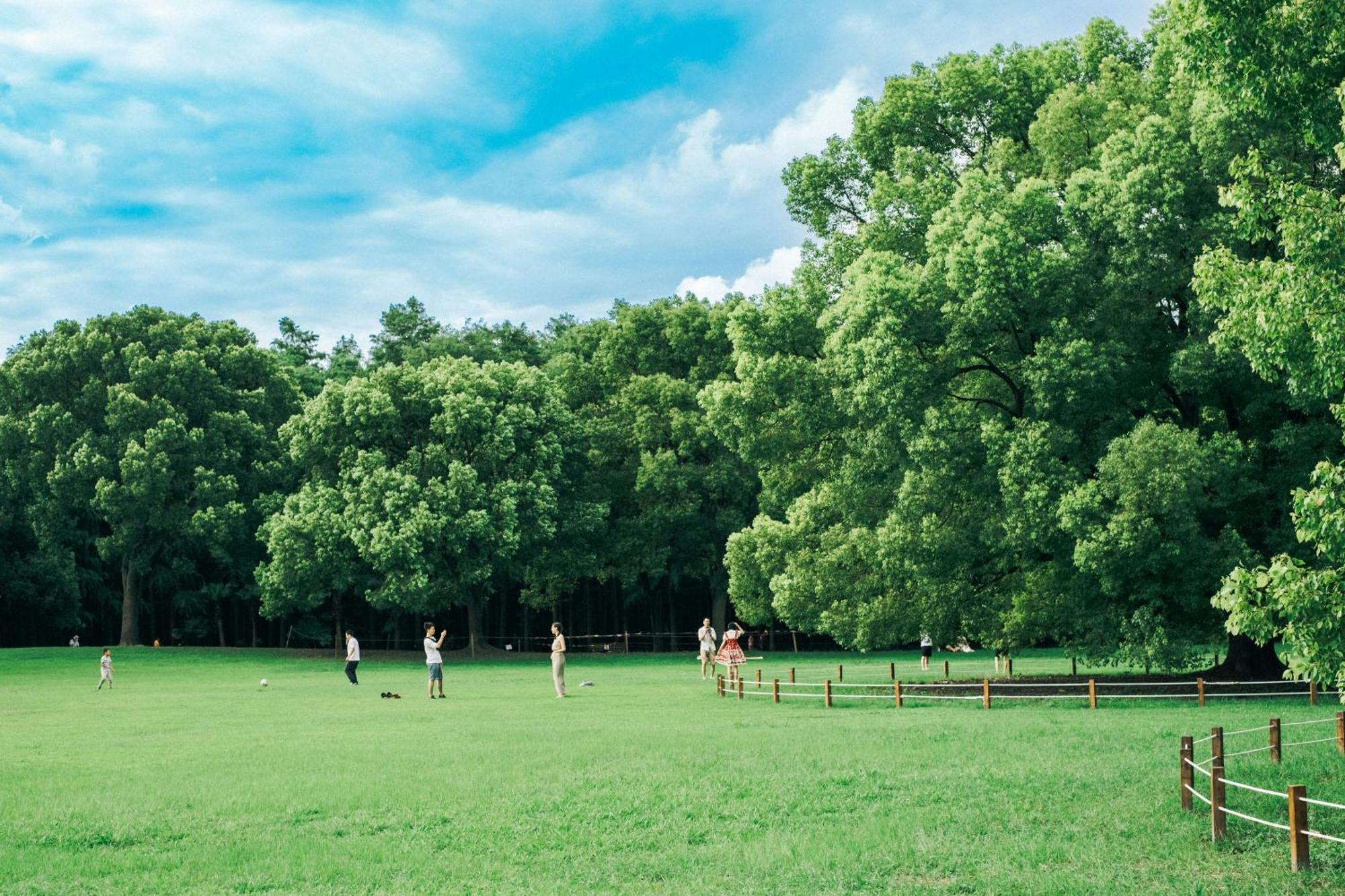 Sojourn Lodging Sevierville Zewnętrze zdjęcie
